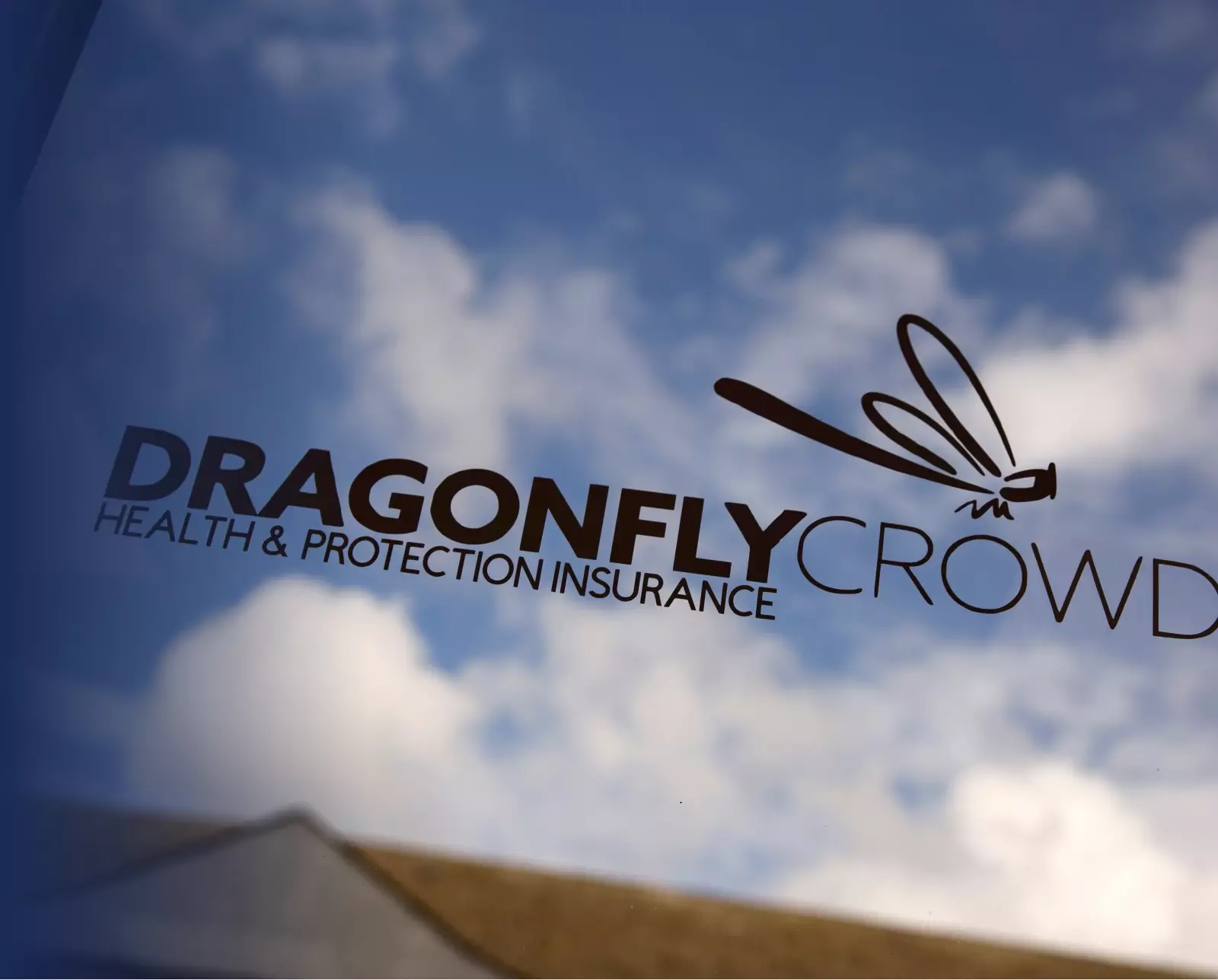 Nelly, Dargonfly Crowds Head of Barketing